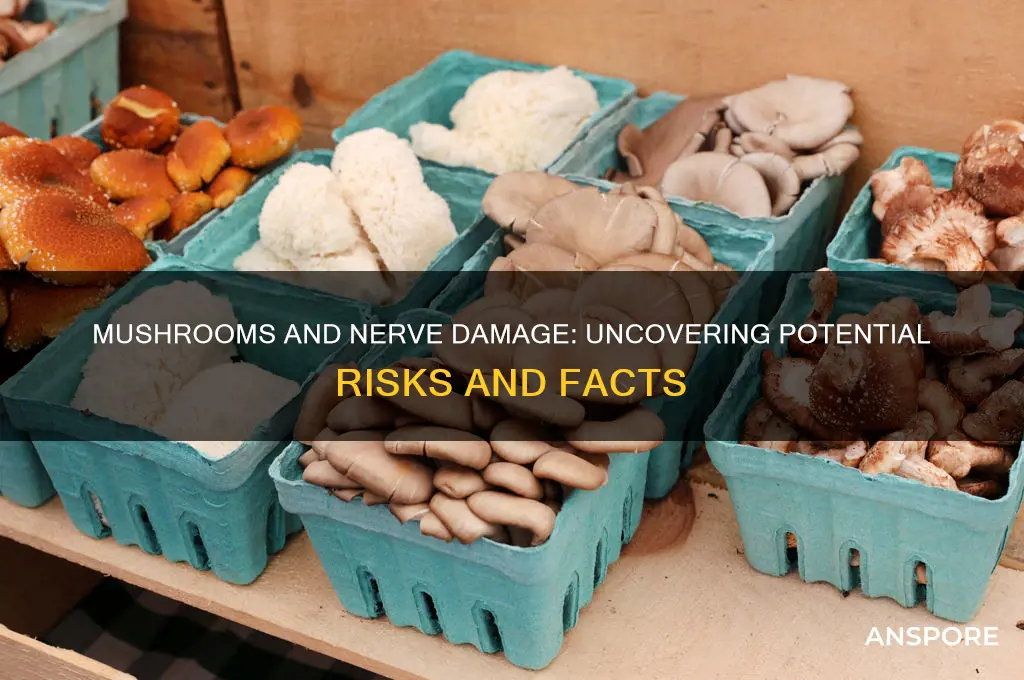 can mushrooms cause nerve damage