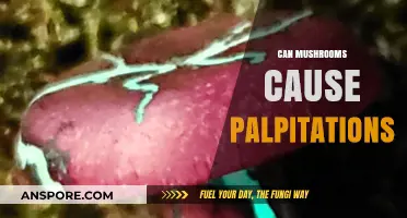 Mushrooms and Heart Palpitations: Unraveling the Surprising Connection