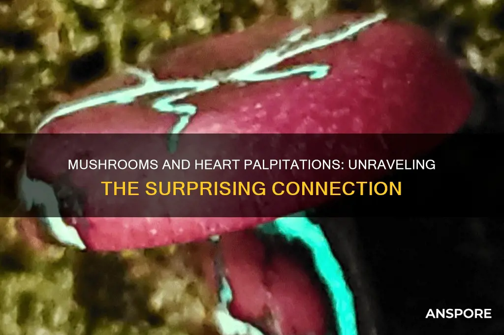 can mushrooms cause palpitations
