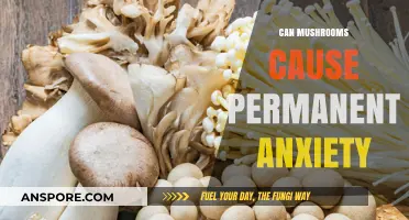 Mushrooms and Mental Health: Can They Trigger Permanent Anxiety?