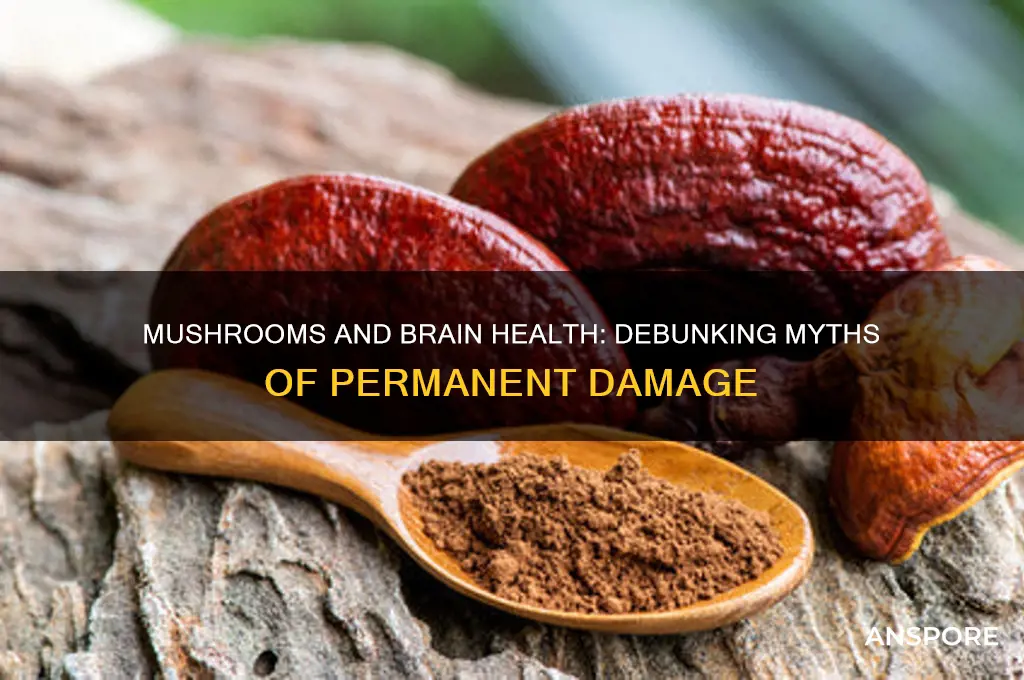 can mushrooms cause permanent brain damage