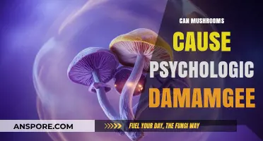 Mushrooms and Mental Health: Unveiling Potential Psychological Risks