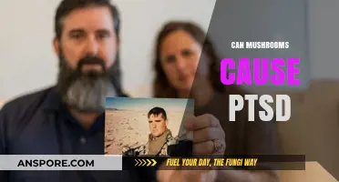 Mushrooms and PTSD: Unraveling the Link Between Fungi and Trauma