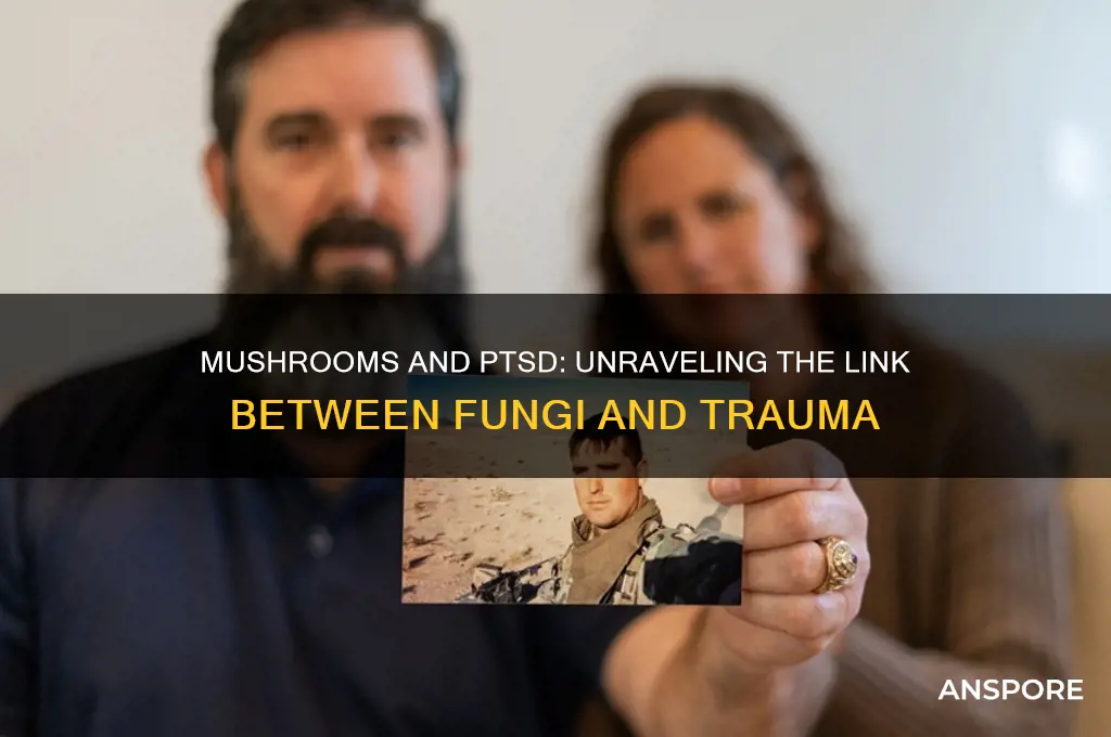 can mushrooms cause ptsd