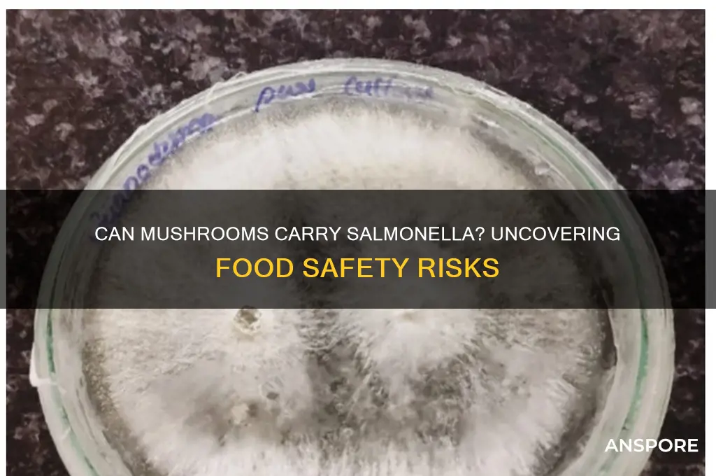 can mushrooms cause salmonella