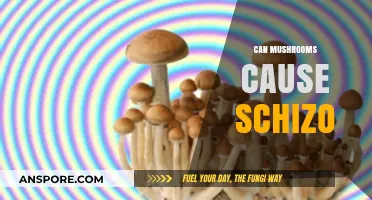 Mushrooms and Schizophrenia: Unraveling the Myth and Scientific Truth