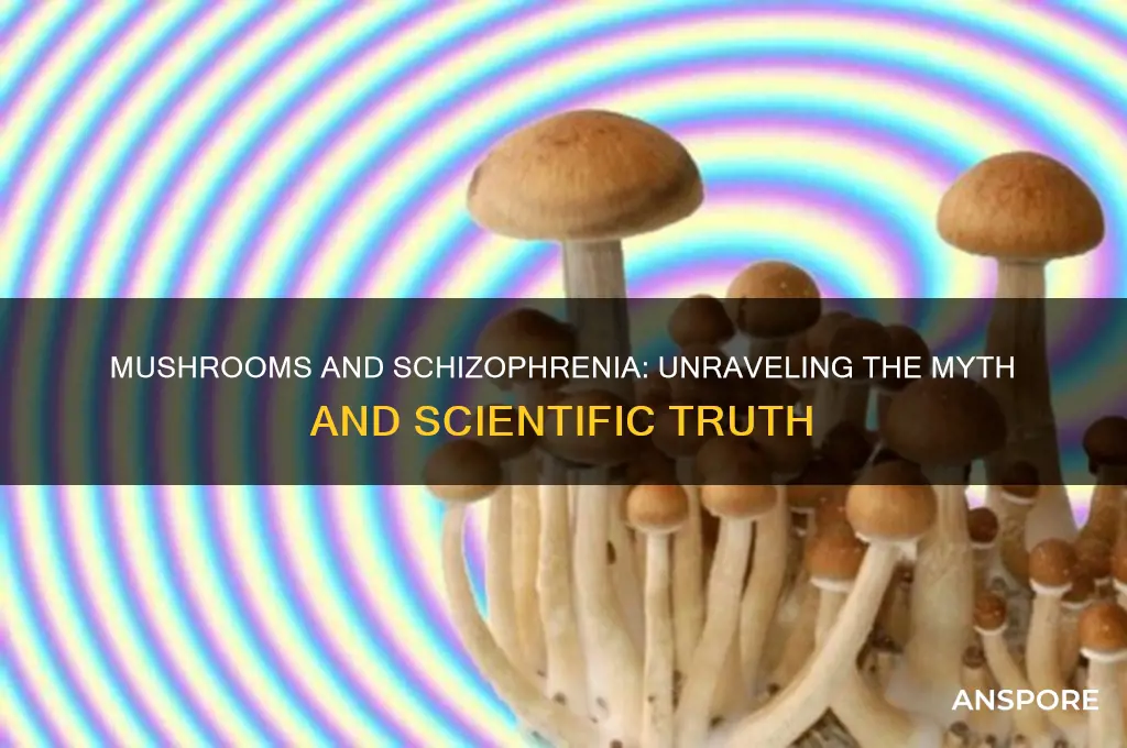 can mushrooms cause schizo
