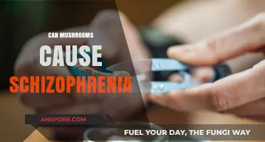 Mushrooms and Schizophrenia: Unraveling the Myth and Scientific Truth