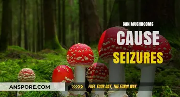 Mushrooms and Seizures: Unraveling the Potential Risks and Truths