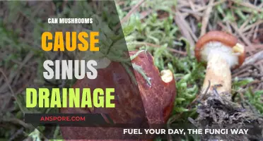Mushrooms and Sinus Drainage: Uncovering the Surprising Connection