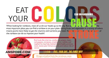 Mushrooms and Stroke Risk: Separating Fact from Fiction in Health Claims