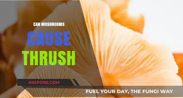 Can Mushrooms Trigger Thrush? Exploring the Fungal Connection and Risks