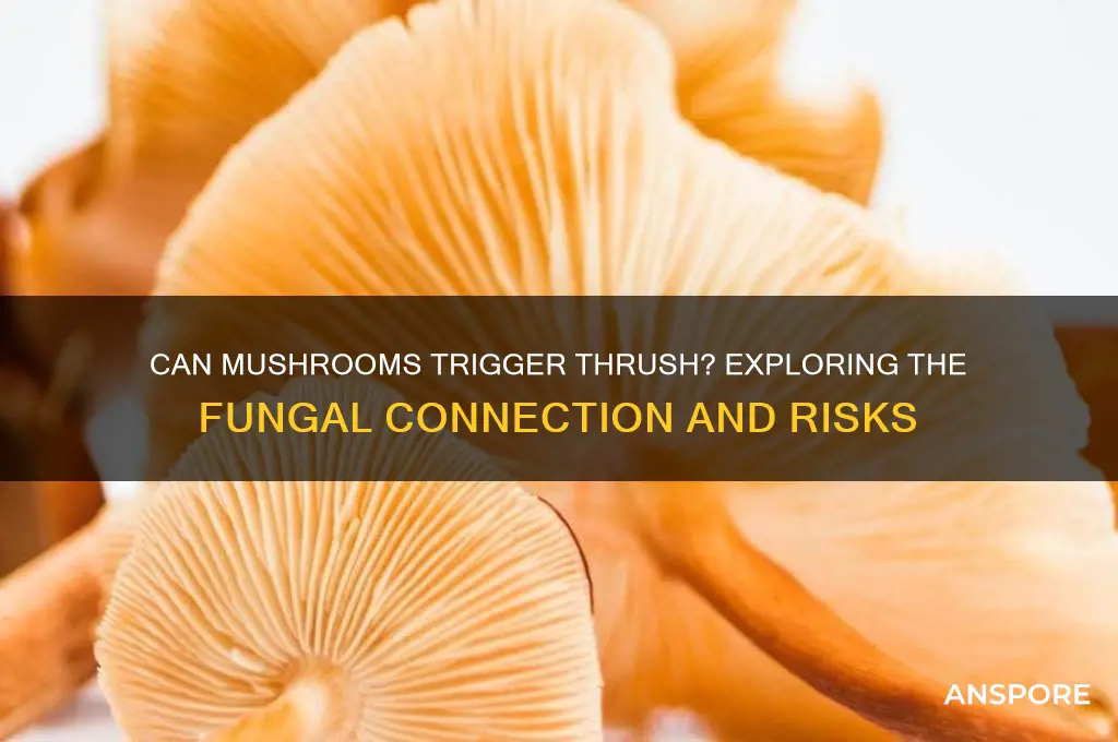 can mushrooms cause thrush