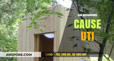 Can Mushrooms Trigger UTIs? Exploring the Fungal-Bladder Connection