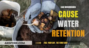 Mushrooms and Water Retention: Fact or Fiction? Exploring the Connection