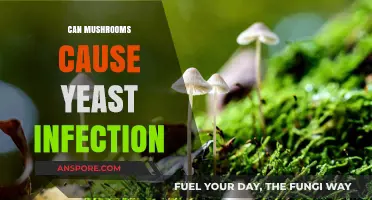 Mushrooms and Yeast Infections: Unraveling the Fungal Connection
