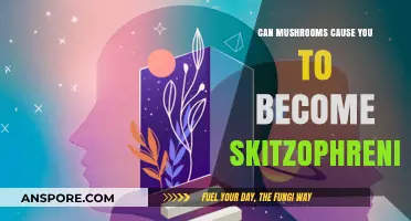 Mushrooms and Schizophrenia: Separating Fact from Fiction in Mental Health