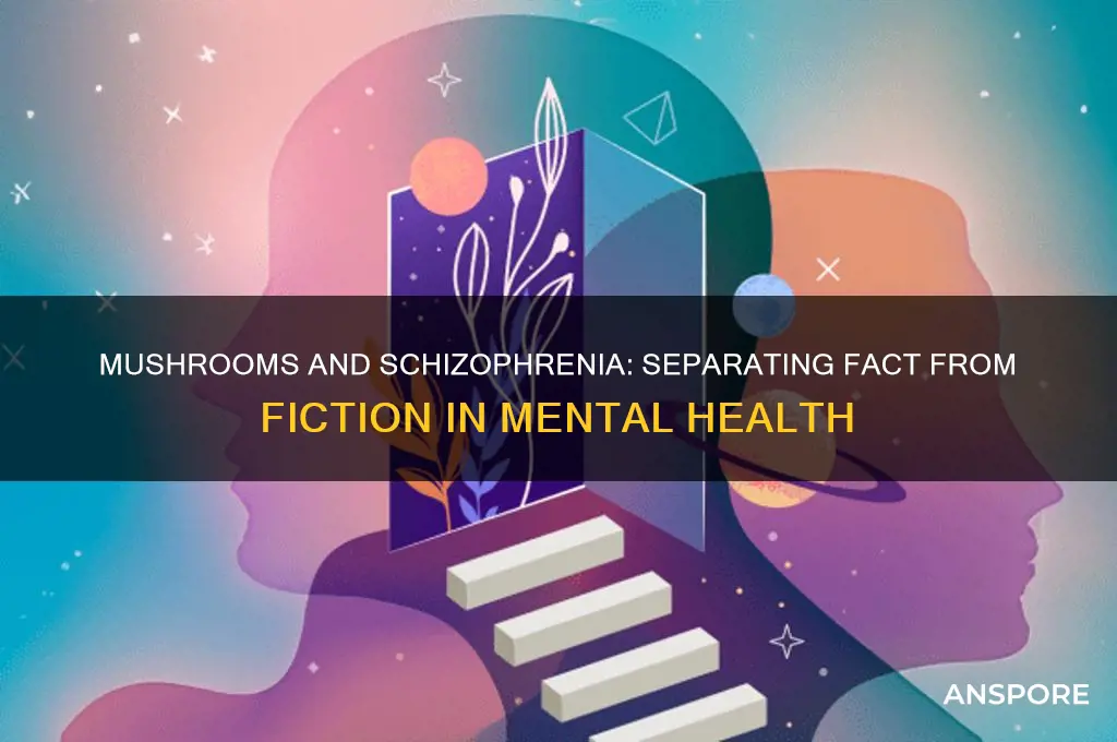 can mushrooms cause you to become skitzophrenic