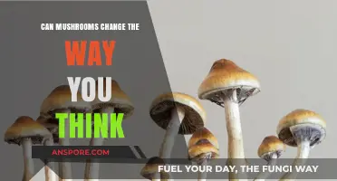 Mushrooms and Mind: Unveiling the Cognitive Shifts of Psychedelic Fungi