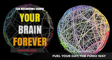 Mushrooms' Mind-Altering Effects: Can They Permanently Change Your Brain?