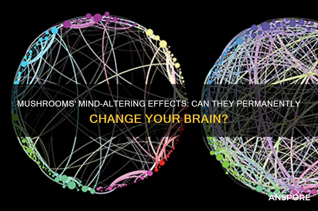 can mushrooms change your brain forever