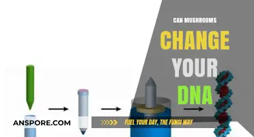 Mushrooms and DNA: Unveiling the Potential for Genetic Transformation