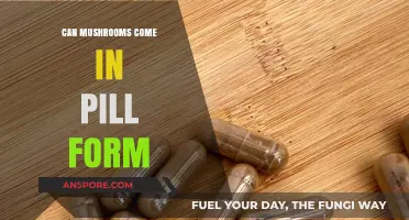 Mushroom Pills: Exploring the Convenience of Capsules for Fungal Benefits