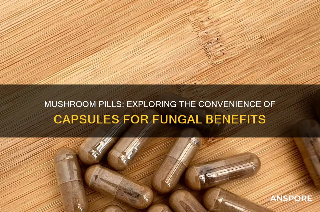 can mushrooms come in pill form