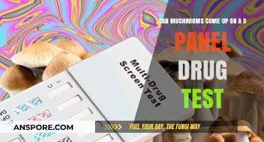 Do Mushrooms Show Up on a 5-Panel Drug Test?