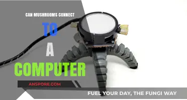 Can Mushrooms Interface with Computers? Exploring the Fungal-Digital Connection