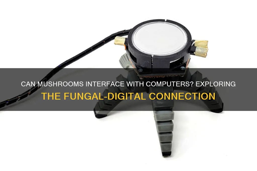 can mushrooms connect to a computer