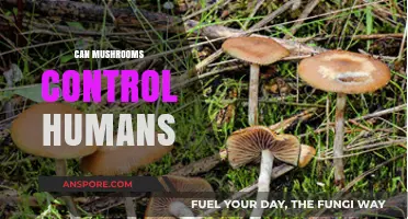 Mind-Altering Mushrooms: Can Fungi Influence Human Behavior and Control?