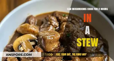 Slow-Cooked Mushroom Stew: Perfect Texture After 2 Hours?