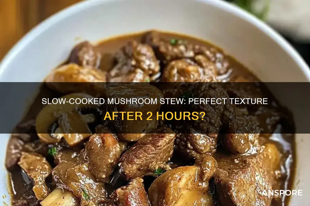 can mushrooms cook for 2 hours in a stew
