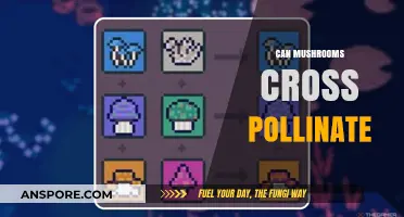 Can Mushrooms Cross-Pollinate? Exploring Fungal Reproduction and Hybridization