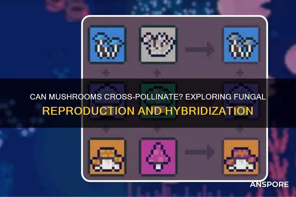 can mushrooms cross pollinate