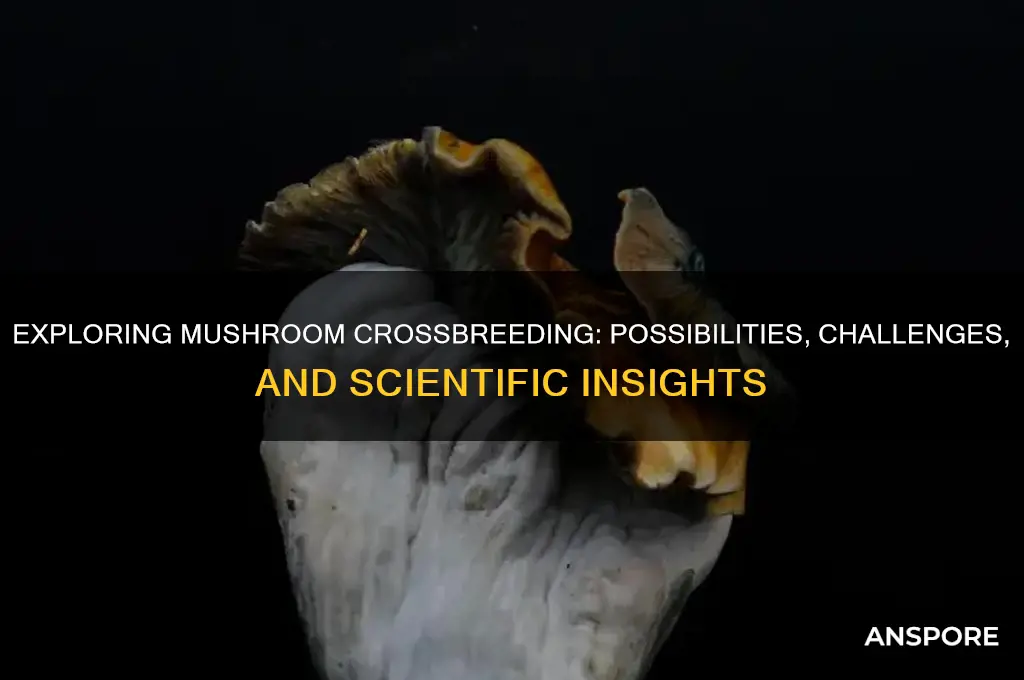 can mushrooms crossbreed