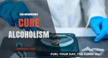 Exploring Psilocybin's Potential: Can Mushrooms Cure Alcoholism?