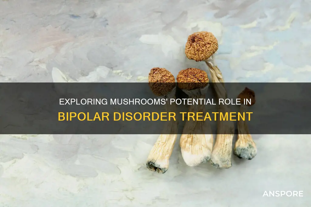 can mushrooms cure bipolar disorder