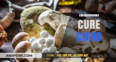 Exploring Mushrooms' Potential Role in COVID-19 Treatment and Recovery