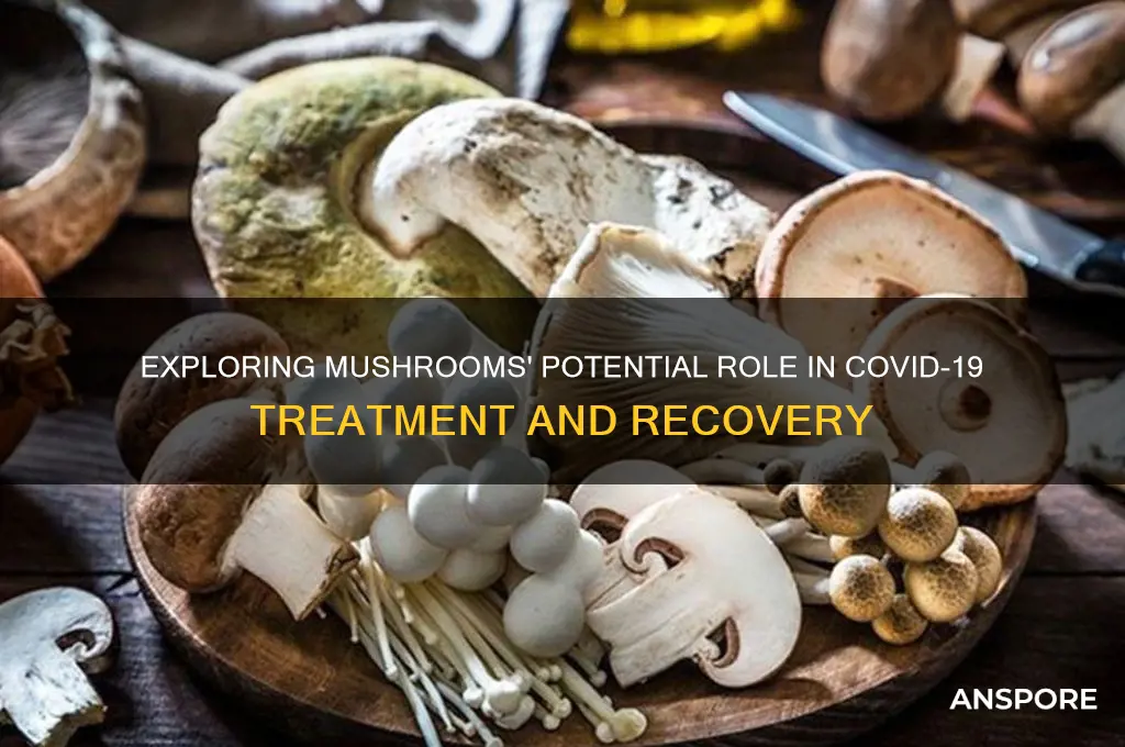 can mushrooms cure covid