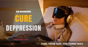 Mushrooms and Mental Health: Exploring Psilocybin's Potential to Cure Depression