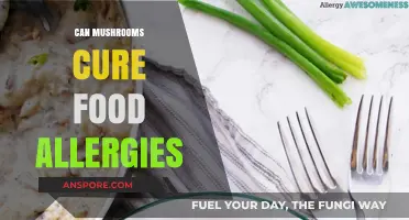 Mushrooms' Potential Role in Alleviating Food Allergies: Fact or Fiction?