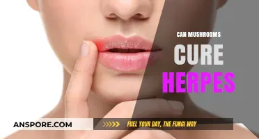Exploring Mushrooms' Potential to Treat Herpes: Fact or Fiction?