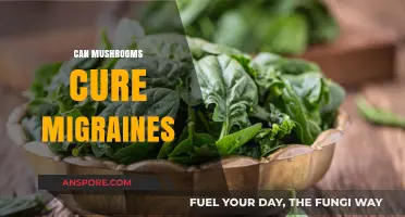 Mushrooms as Migraine Remedies: Exploring Natural Headache Relief Options