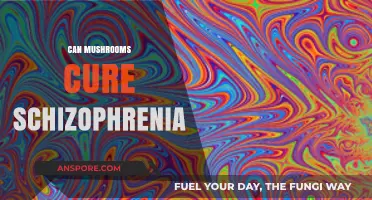 Exploring Mushrooms' Potential Role in Schizophrenia Treatment: Fact or Fiction?