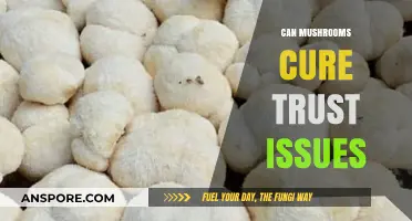 Mushrooms and Trust: Exploring the Potential for Healing Relationships