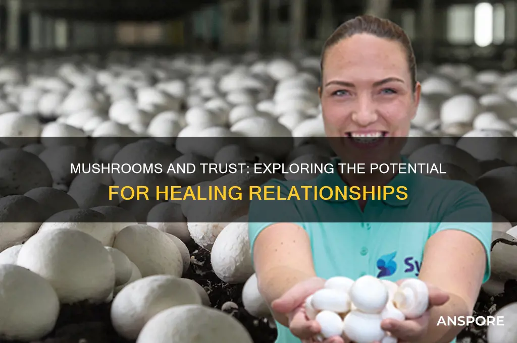 can mushrooms cure trust issues