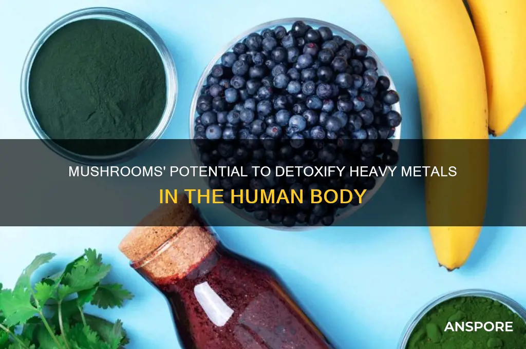 can mushrooms detox heavy metals in body