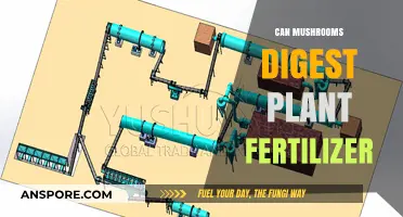 Can Mushrooms Break Down Plant Fertilizer? Exploring Fungal Digestion